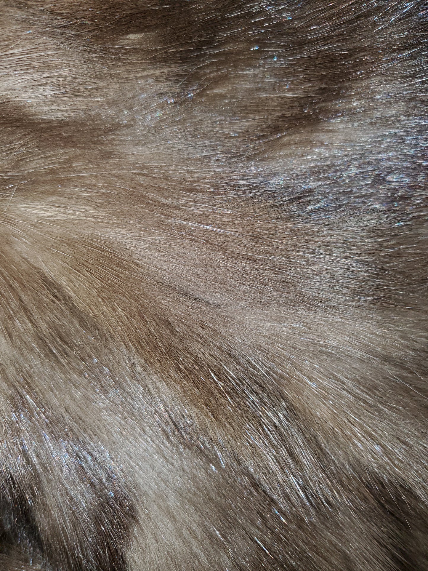 Sable Fur Scarf