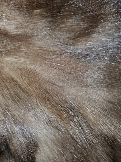 Sable Fur Scarf